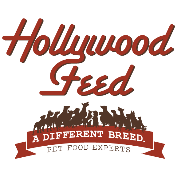 Hollywood Feed logo